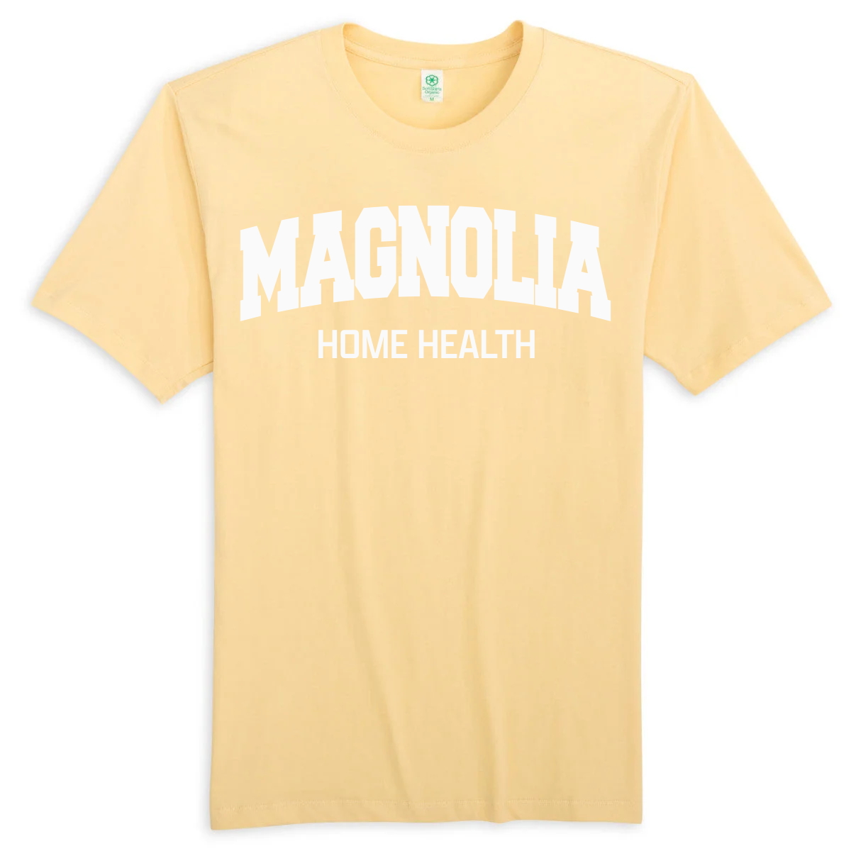 Magnolia Home Health Design 1